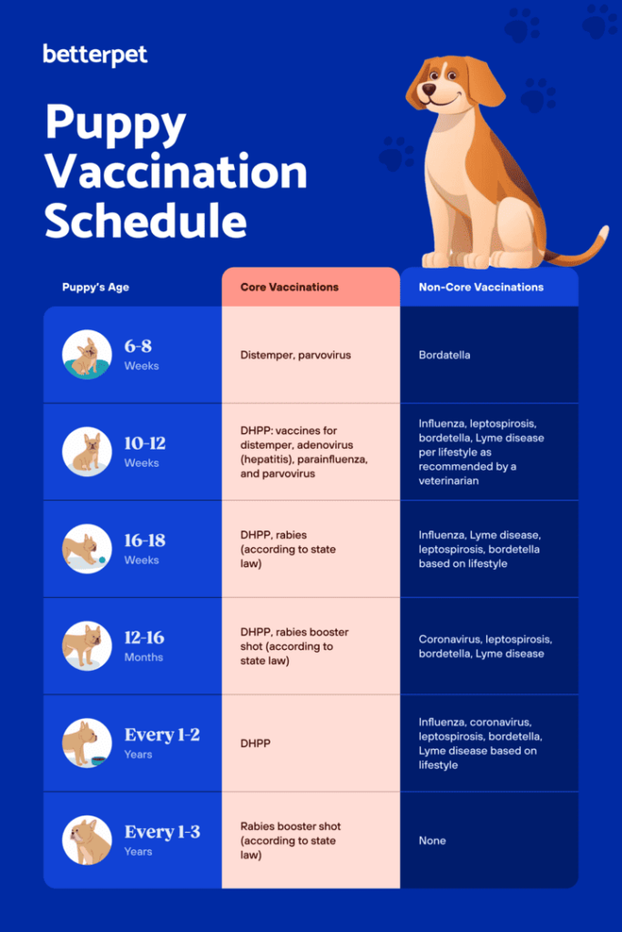 A Puppy Vaccine Schedule What Does My Puppy Need  - Small Dog Vaccination Schedule