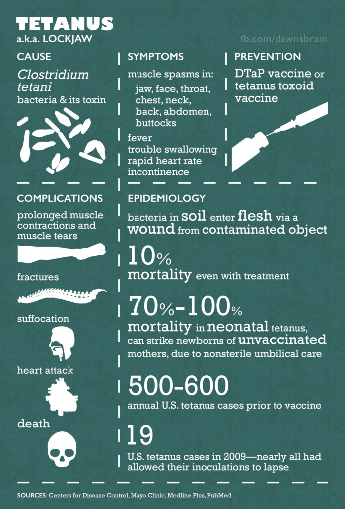 Adult Vaccines IKC - Tetanus Vaccination Schedule