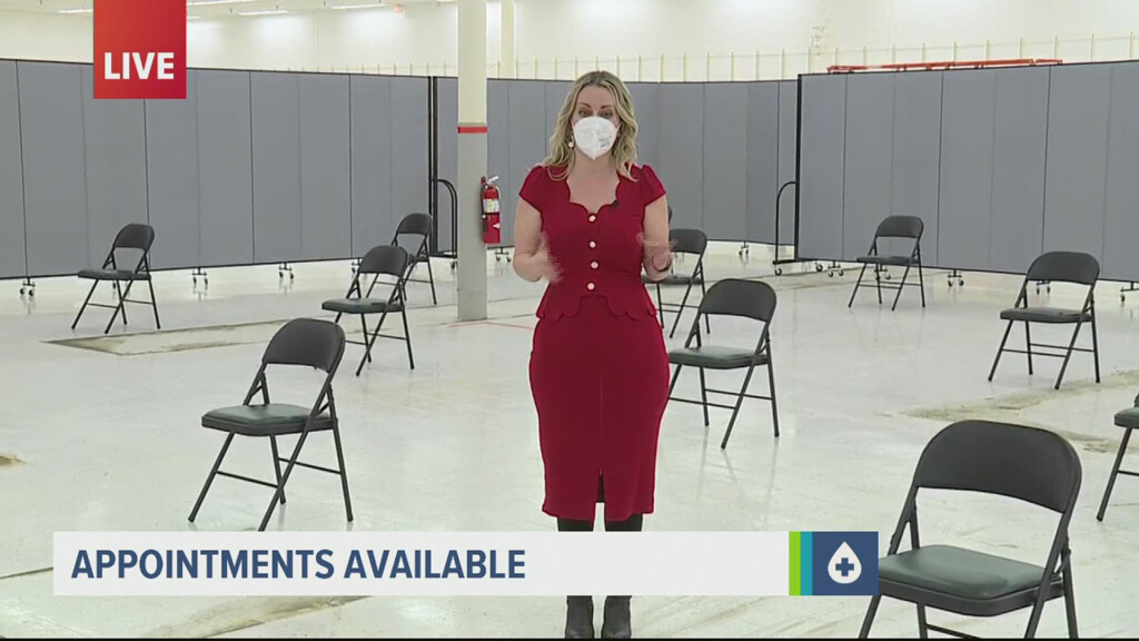 Hundreds Of Vaccine Appointments Left Unfilled At Vaccination Clinics  - Lebanon Vaccination Schedule