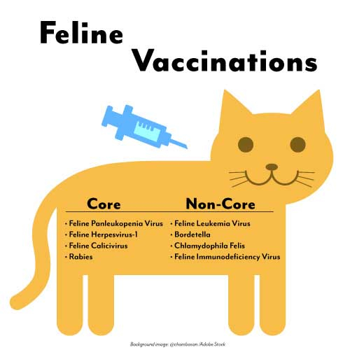 Pet Vaccinations In Memphis MI Greenwood Veterinary Associates - 4 In 1 Cat Vaccine Schedule