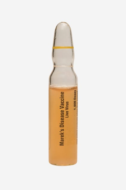 Poulvac Ovoline CVI Pacificvet - Marek'S Disease Vaccination Schedule