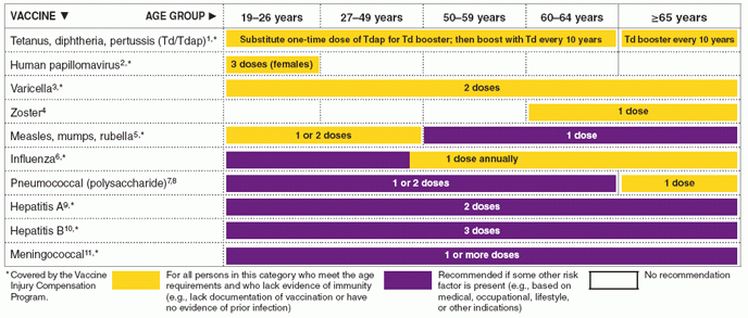 Recommended Adult Immunization Schedule United States 2010 - Hepatitis A Vaccine For Adults Schedule