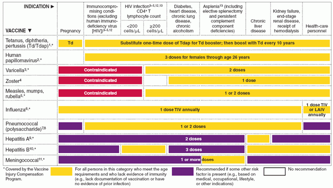 Recommended Adult Immunization Schedule United States 2010 - Uw Health Vaccine Schedule