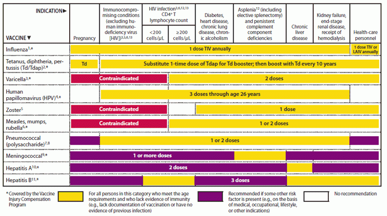 Recommended Adult Immunization Schedule United States 2011 - Usmle Vaccine Schedule