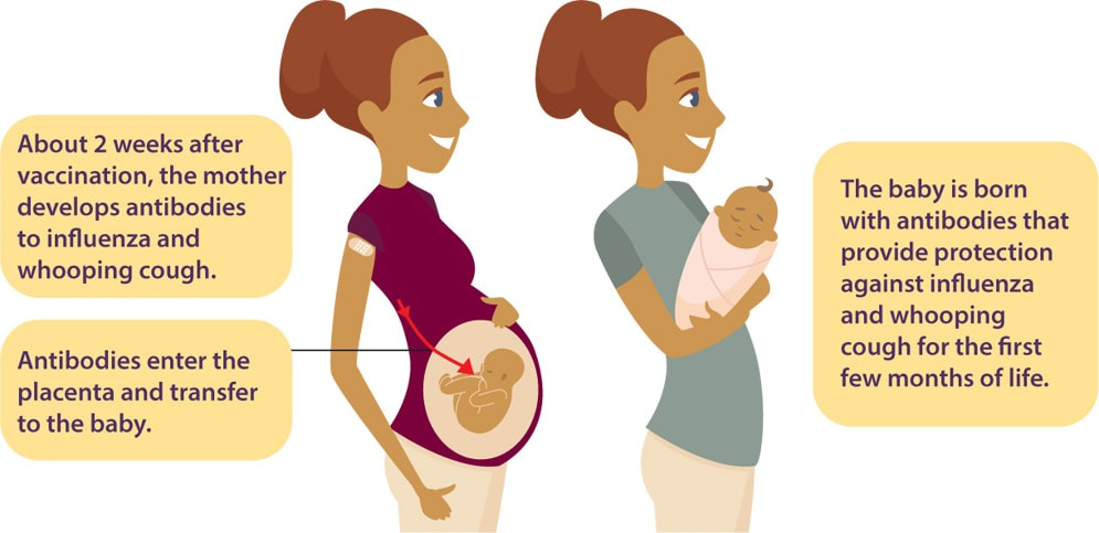 Vaccinating Pregnant Women VitalSigns CDC - Pregnant Lady Vaccination Schedule