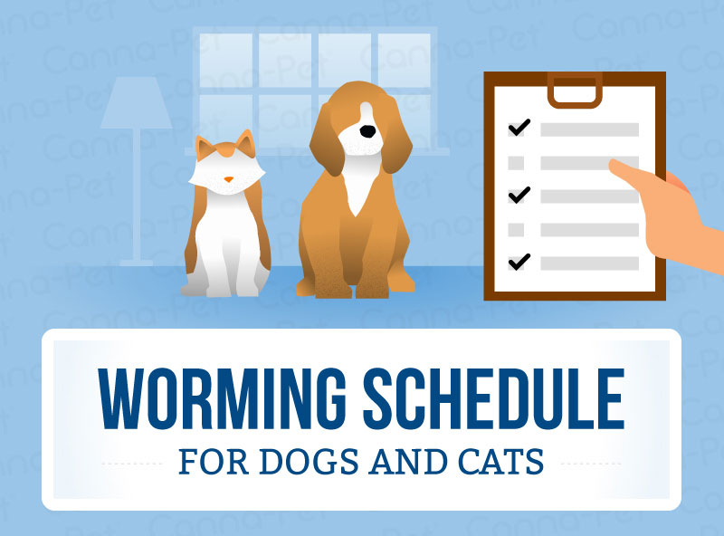 Worming Schedules For Cats Dogs Canna Pet - Dog Deworming And Vaccine Schedule