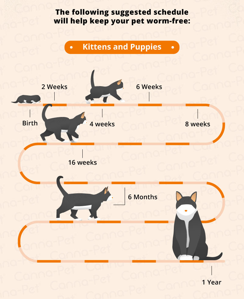Worming Schedules For Cats Dogs Canna Pet - Dog Deworming And Vaccine Schedule